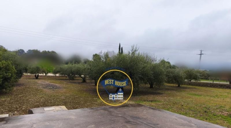 Valencia - Onteniente - 1539m2