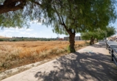 Non-developable land for sale on España, Gabia Grande, ref: TR255776 photo