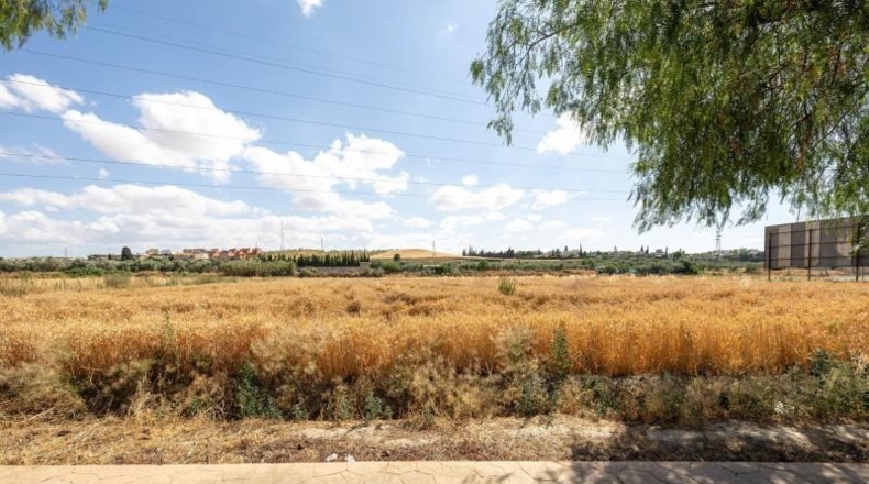 Гранада - Los Llanos - 5000m2
