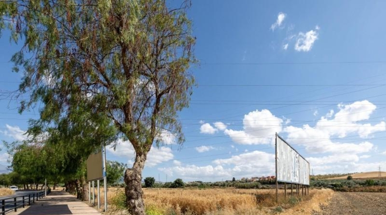 Гранада - Los Llanos - 5000m2