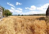 Non-developable land for sale on España, Gabia Grande, ref: TR255776 photo