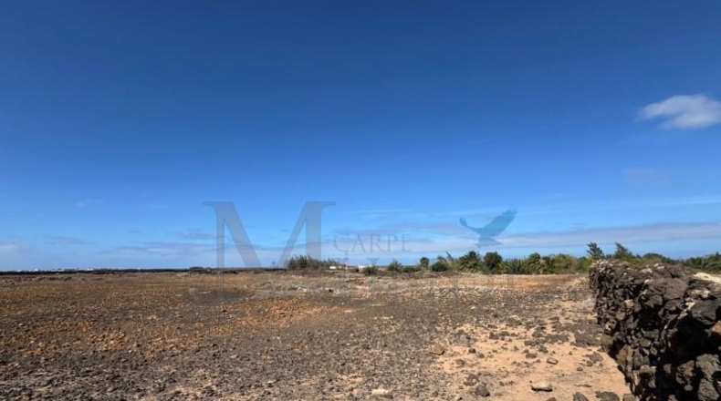 Las Palmas - Puerto del Rosario - 18294m2