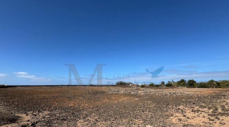 Las Palmas - Puerto del Rosario - 18294m2