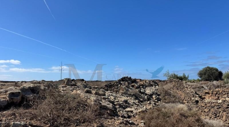 Las Palmas - Puerto del Rosario - 18294m2