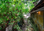 Non-developable land for sale on España, Vega de San Mateo, ref: TR319614 photo