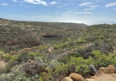 Non-developable land for sale on España, Arico el Nuevo, ref: TR232545 photo