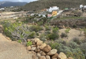Non-developable land for sale on España, Arico el Nuevo, ref: TR232545 photo