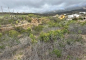 Non-developable land for sale on España, Arico el Nuevo, ref: TR232545 photo