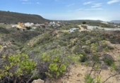 Non-developable land for sale on España, Arico el Nuevo, ref: TR232545 photo