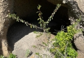 Non-developable land for sale on España, Arico el Nuevo, ref: TR232545 photo