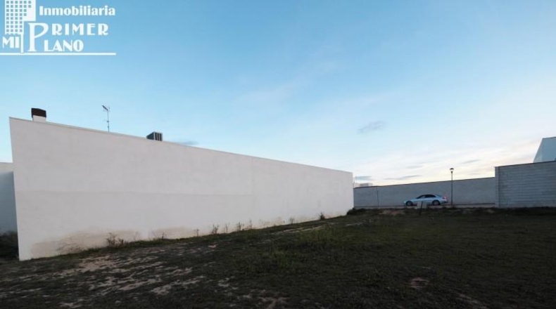 Ciudad Real - Tomelloso - 317m2