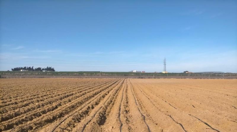 Cádiz - Chipiona - 10000m2