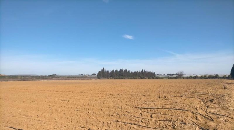 Cádiz - Chipiona - 10000m2