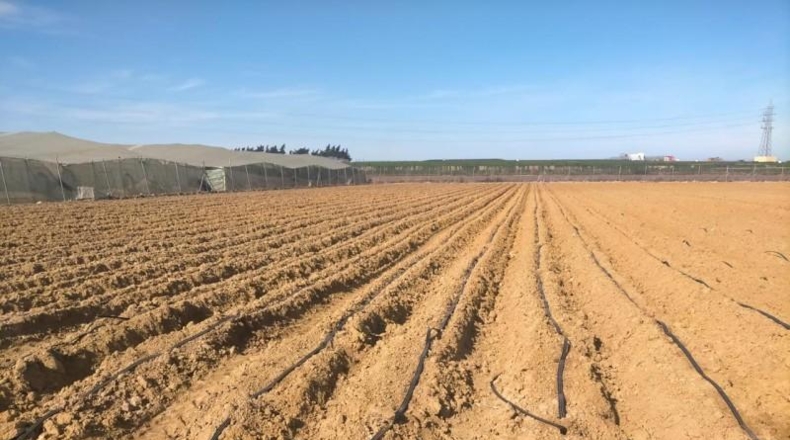 Cádiz - Chipiona - 10000m2