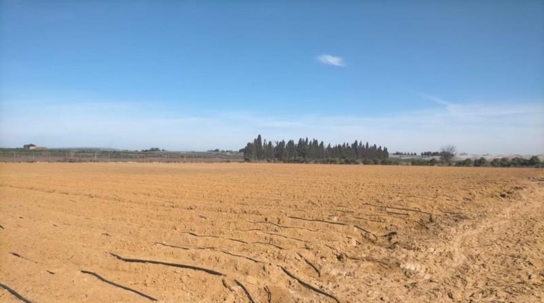Cádiz - Chipiona - 10000m2