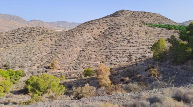 Murcia - Águilas - 20000m2