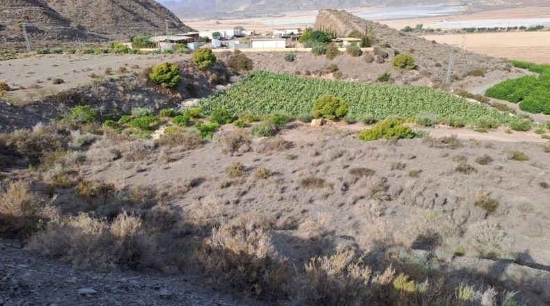 Murcia - Águilas - 20000m2