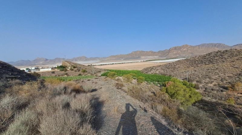 Murcia - Águilas - 20000m2
