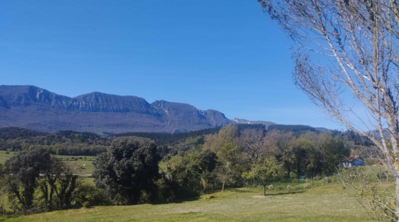 Burgos - La Mata - 1665m2