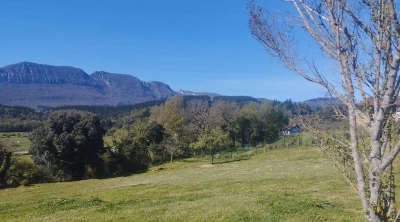 Burgos - La Mata - 1665m2