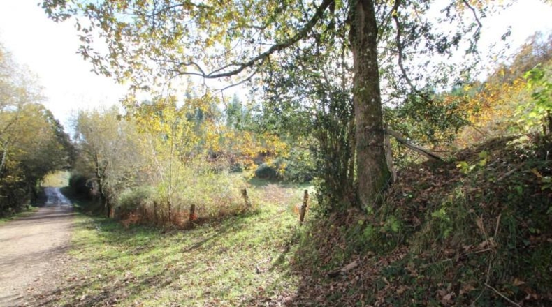Cantabria - Ruente - 38220m2