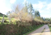 Finca rústica en venda a la España, Ruente, ref.: TR298285 foto
