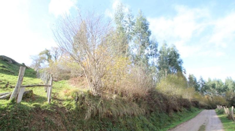 Cantabria - Ruente - 38220m2