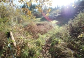 Finca rústica en venda a la España, Ruente, ref.: TR298285 foto