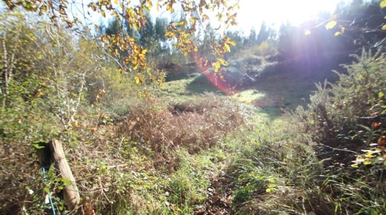 Cantabria - Ruente - 38220m2