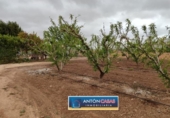 Land suitable for development for sale on España, Pinoso, ref: TR130342 photo