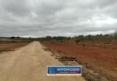 Land suitable for development for sale on España, Pinoso, ref: TR130342 photo