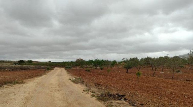 Alicante - Pinoso - 20000m2