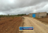 Land suitable for development for sale on España, Pinoso, ref: TR130342 photo