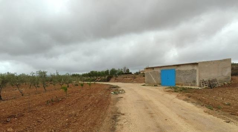 Alicante - Pinoso - 20000m2