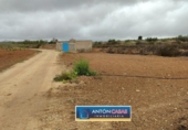 Land suitable for development for sale on España, Pinoso, ref: TR130342 photo