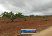 Land suitable for development for sale on España, Pinoso, ref: TR130342 photo