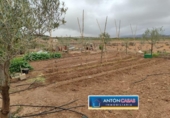 Land suitable for development for sale on España, Pinoso, ref: TR130342 photo