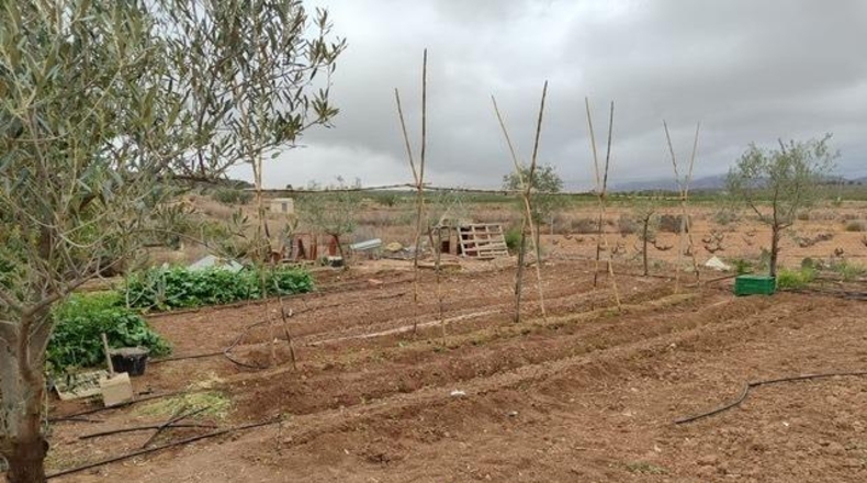 Alicante - Pinoso - 20000m2