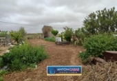 Land suitable for development for sale on España, Pinoso, ref: TR130342 photo
