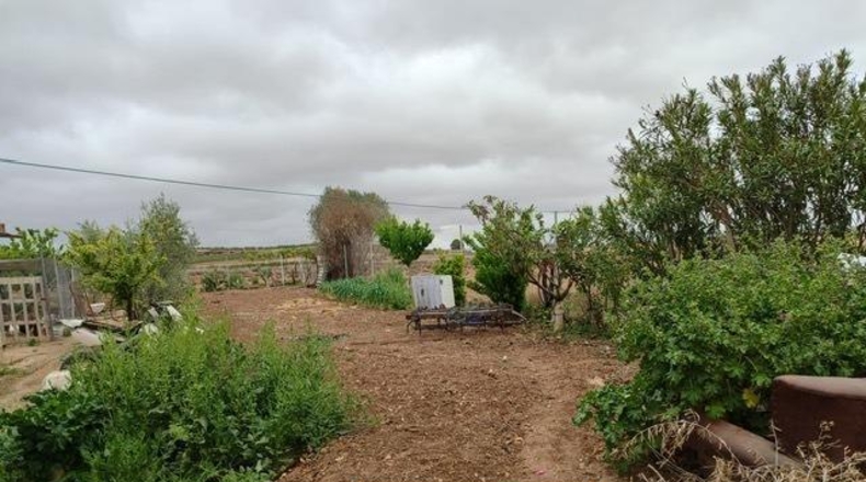 Alicante - Pinoso - 20000m2