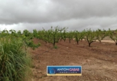 Land suitable for development for sale on España, Pinoso, ref: TR130342 photo
