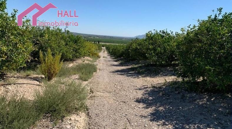 Murcia - Abanilla - 18447m2