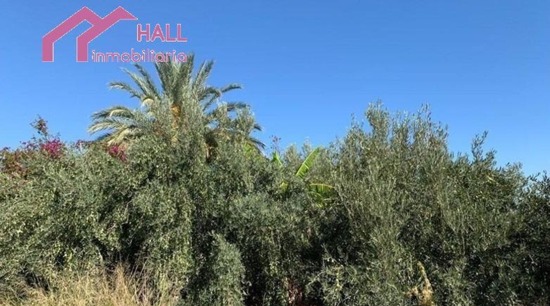 Murcia - Abanilla - 18447m2