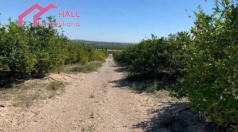 Murcia - Abanilla - 18447m2