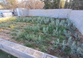 Non-developable land for sale on España, Reus, ref: TR127394 photo