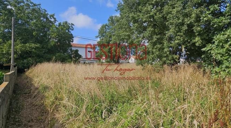 Cantabria - Arnuero - 3701m2