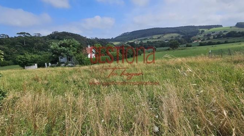 Cantabria - Arnuero - 3701m2