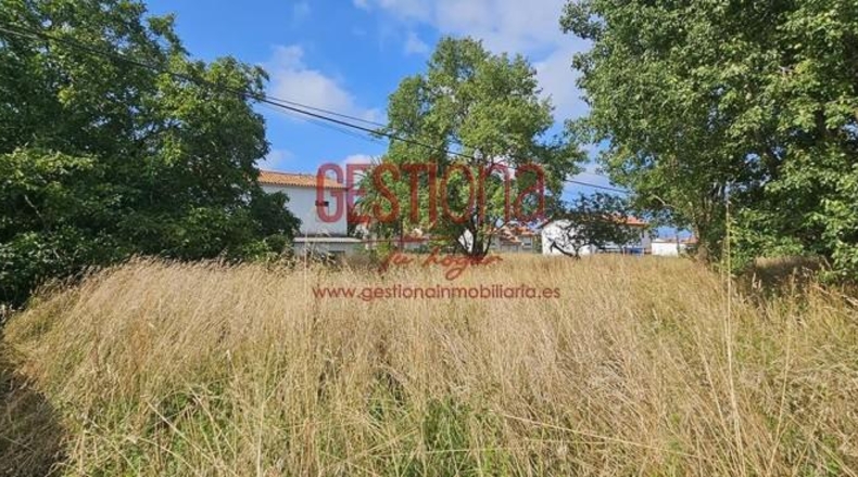 Cantabria - Arnuero - 3701m2