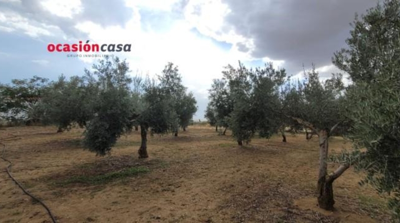Córdoba - Alcaracejos - 15224m2