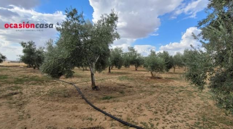 Córdoba - Alcaracejos - 15224m2